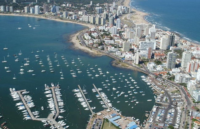 Excursión a Punta del Este - Foto 4