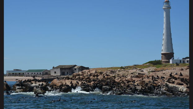 Excursión a Punta del Este - Foto 3