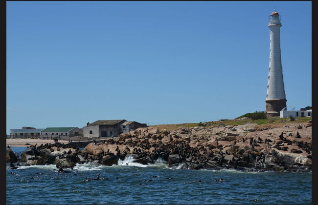 Excursión a Punta del Este - Foto 3