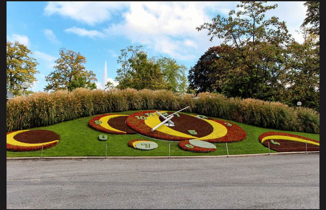 Visite privée dans Genève en français - Photo 2