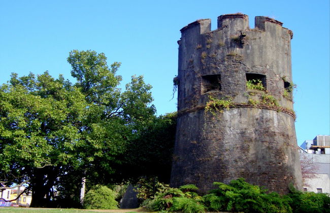 Valdivia Private Excursion - Foto 4