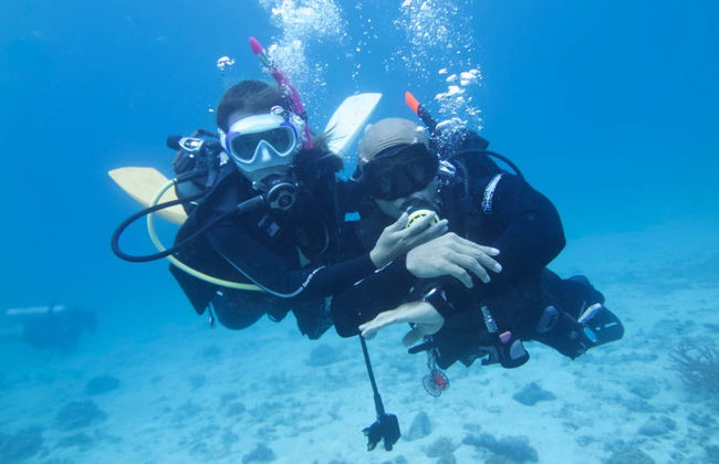 Curso de buceo PADI Open Water - Foto 5