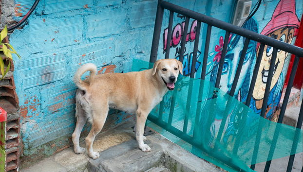 Tour completo di Medellín - Foto 4