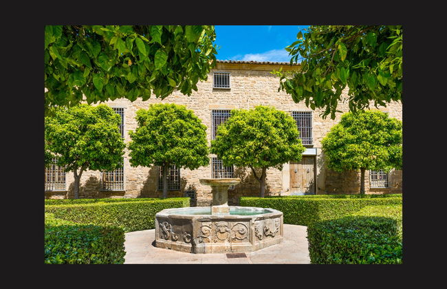 Oferta: Tour completo de Úbeda e Baeza com ingressos - Foto 3