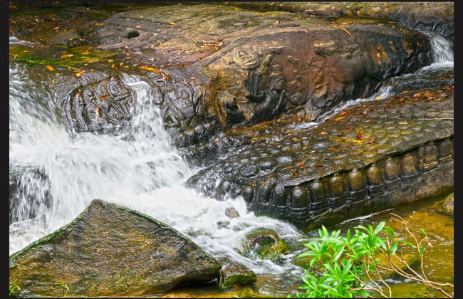 Excursión a Phnom Kulen - Foto 3