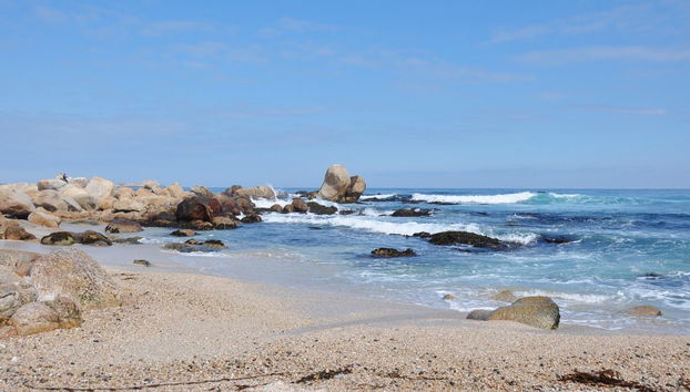 Excursão a Isla Negra e Pomaire - Foto 2