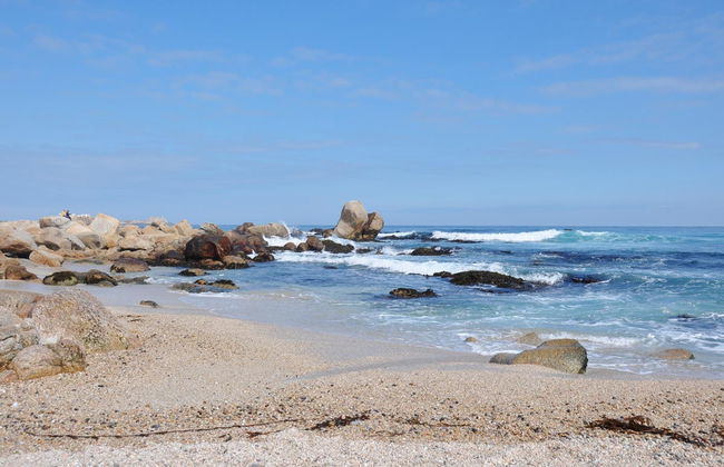 Excursão a Isla Negra e Pomaire - Foto 2