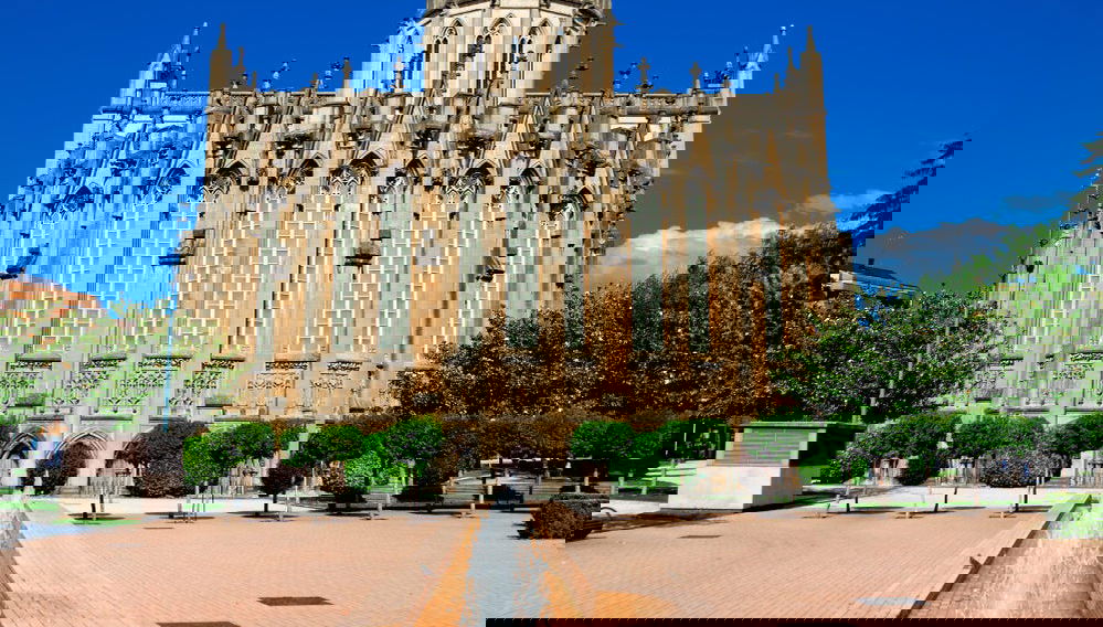 Visita guiada por la Catedral Nueva de Vitoria - Foto 1