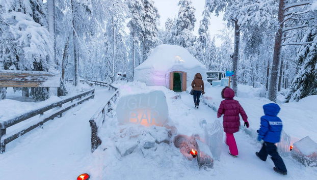 Ranua Wildlife Park Trip - Photo 5