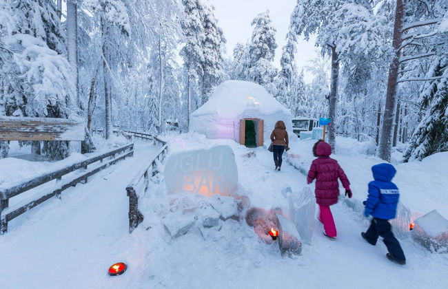 Excursion au zoo de Ranua - Photo 5