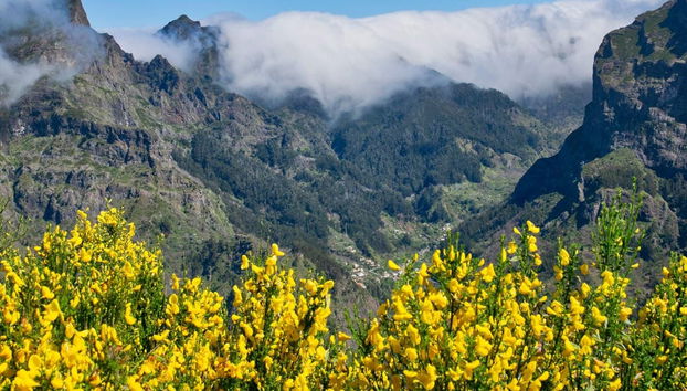 Curral das Freiras Madeira Day Trip - Foto 5