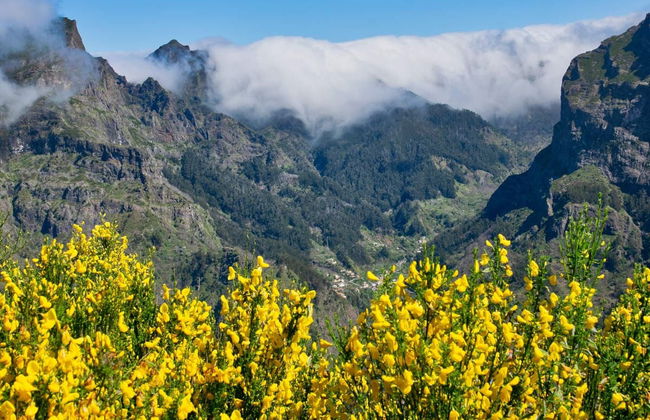 Curral das Freiras Madeira Day Trip - Foto 5