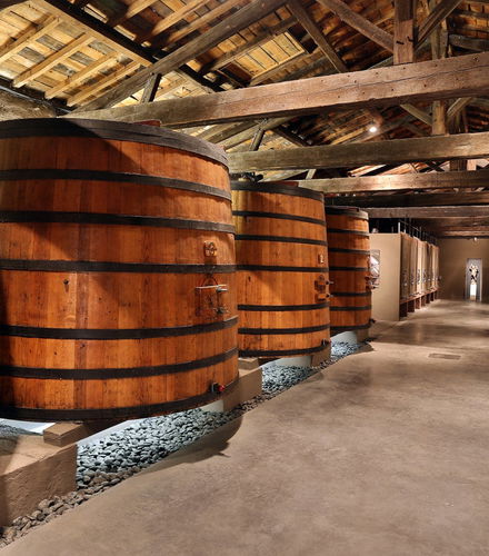 Foto de Medoc Wine Tour
