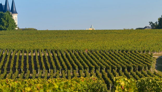 Excursion dans le Médoc - Photo 5