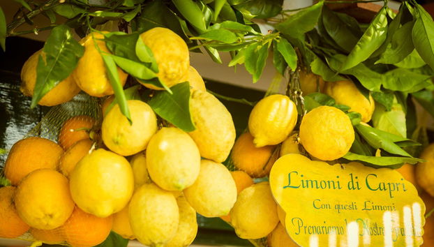 Capri Day Trip + White & Green Grottos - Foto 5