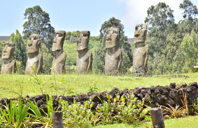 Excursion à Ahu Akivi - Photo 1