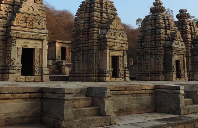 Excursión privada a los templos de Bateshwar - Foto 5