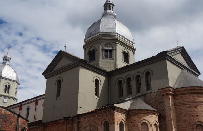 Excursión a Pereira + Visita a una finca de plátanos - Foto 2