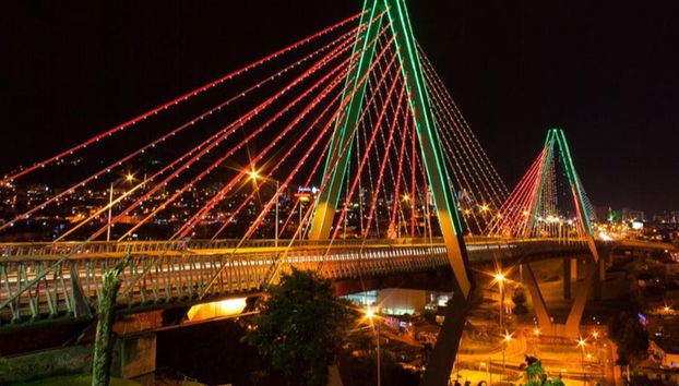 Pereira & Banana Plantation Tour - Photo 4