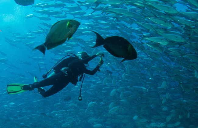 Bautismo de buceo en Las Negras - Foto 8