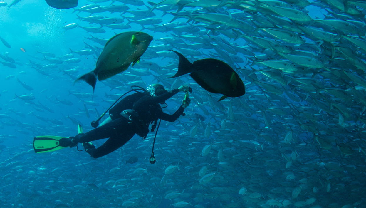 Bautismo de buceo en Las Negras