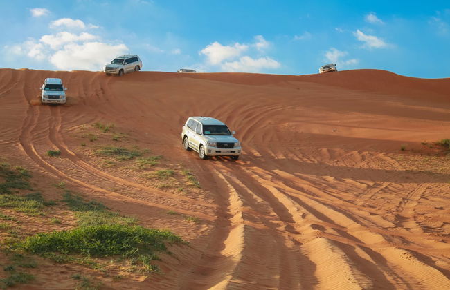 Desert Safari y visita a una granja de camellos - Foto 3