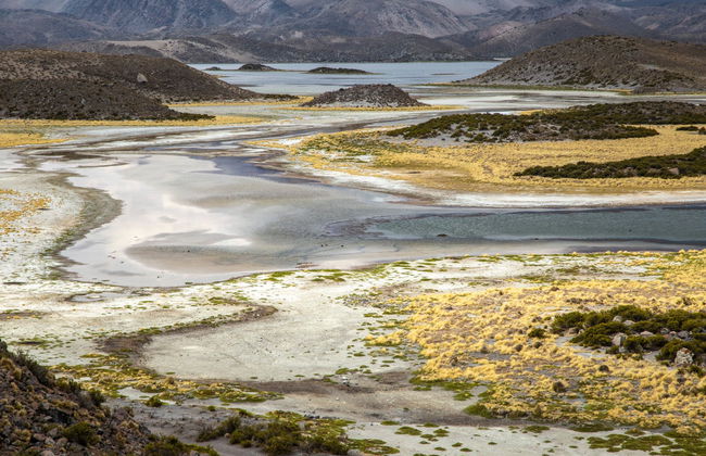 Tour de 5 dias por Parinacota e Taapacá - Foto 8