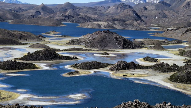 Excursão ao Parque Nacional Lauca - Foto 4