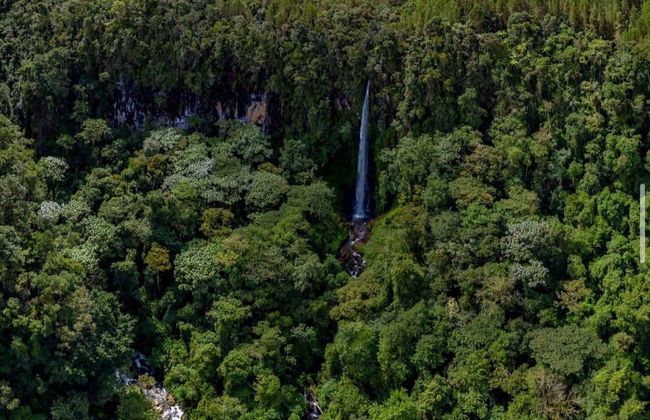 Senderismo por las cascadas de Jardín - Foto 3