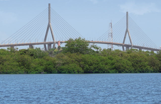 Tour por Tampico - Foto 7