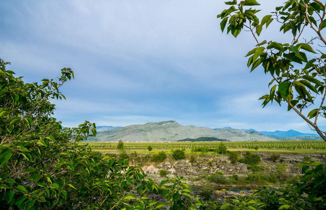 Zeta Plain Wine Tour - Foto 3