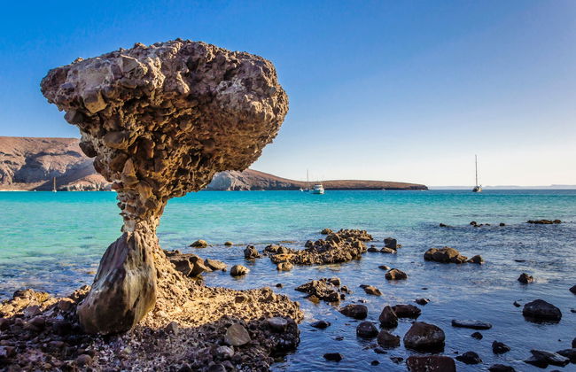 Escursione alla spiaggia Balandra + Bagno con i leoni marini - Foto 7