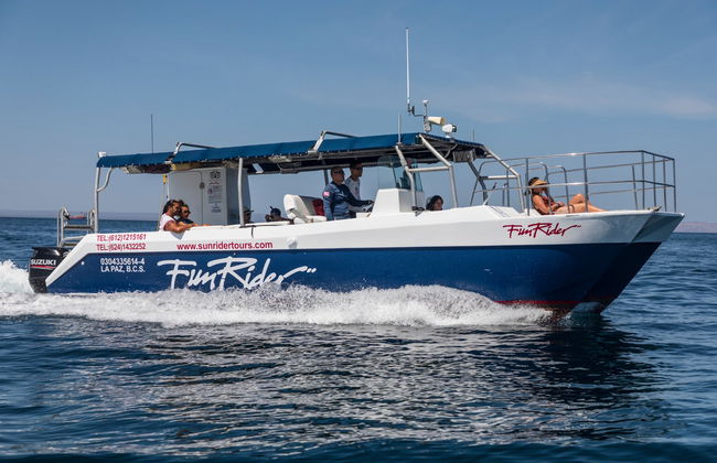 Excursión a la playa Balandra + Nado con lobos marinos - Foto 4