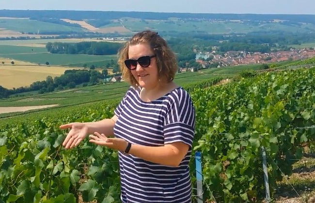 Tour por Reims y la bodega Veuve Clicquot - Photo 7