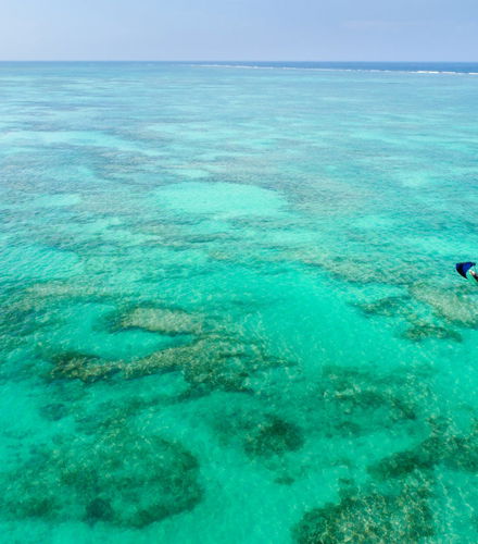 Foto de Parasailing en Zanzíbar