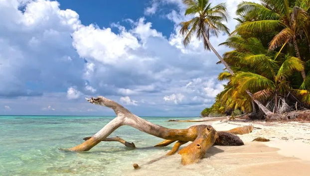 Tour of Saona Island Beaches - Photo 3