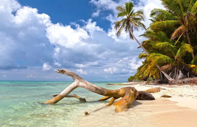 Tour of Saona Island Beaches - Photo 3