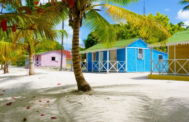Tour of Saona Island Beaches - Photo 1