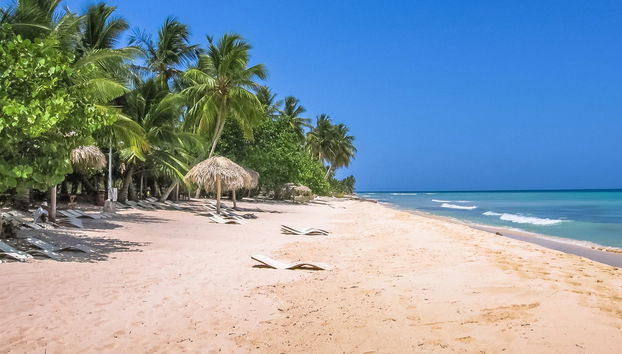 Tour of Saona Island Beaches - Photo 5