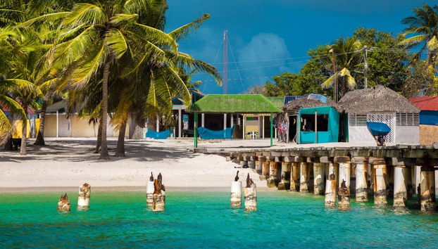 Tour of Saona Island Beaches - Photo 4