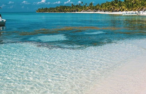 Excursion aux plages de l'Île Saona - Photo 3
