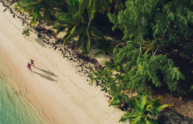 ATV Adventure in Punta Cana - Foto 1