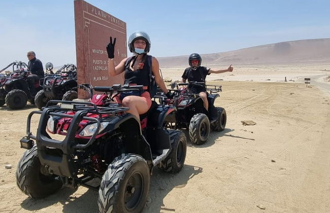 Excursão às ilhas Ballestas e Reserva Nacional de Paracas - Foto 6