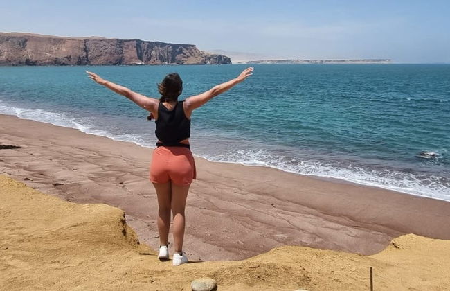 Excursão às ilhas Ballestas e Reserva Nacional de Paracas - Foto 8