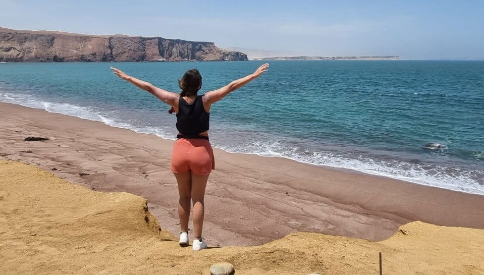 Excursion aux îles Ballestas et à la Réserve Nationale de Paracas