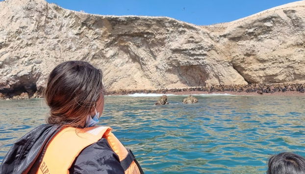 Naviguez sur les îles Ballestas