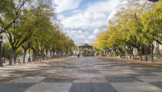 Tour in Jerez de la Frontera - Foto 5