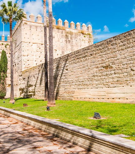 Foto de Visita guiada por Jerez