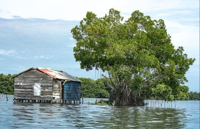 Excursión a los pueblos palafitos de Ciénaga - Foto 3