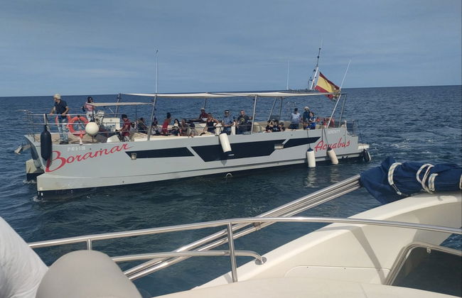 Paseo en catamarán por la bahía de Gandía - Foto 4